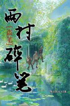 盗笔：雨村碎笔